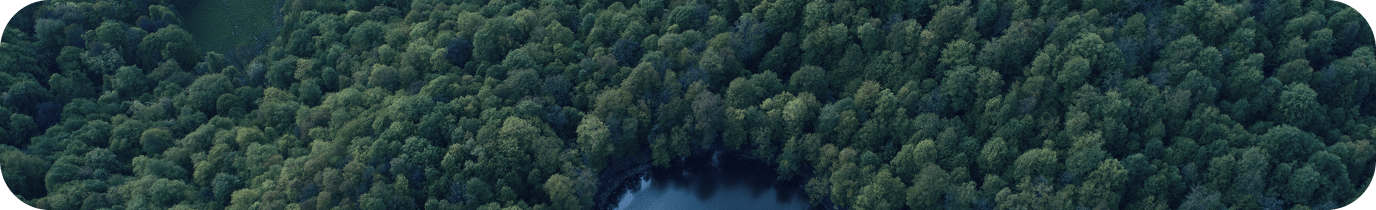 Արտագնա Տուրեր