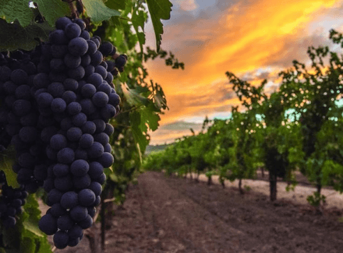 Small top right image